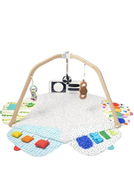 LOVEVERY The Play Gym