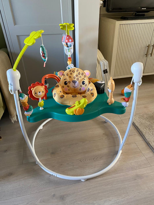Smyth Baby Jumperoo