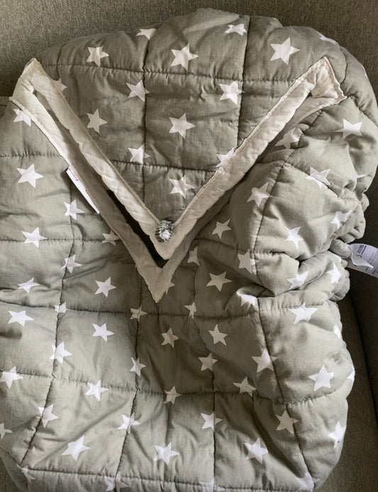Ruby and Ginger car seat cover
