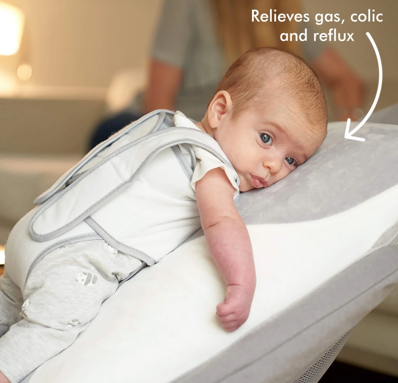 Babocush Pillow