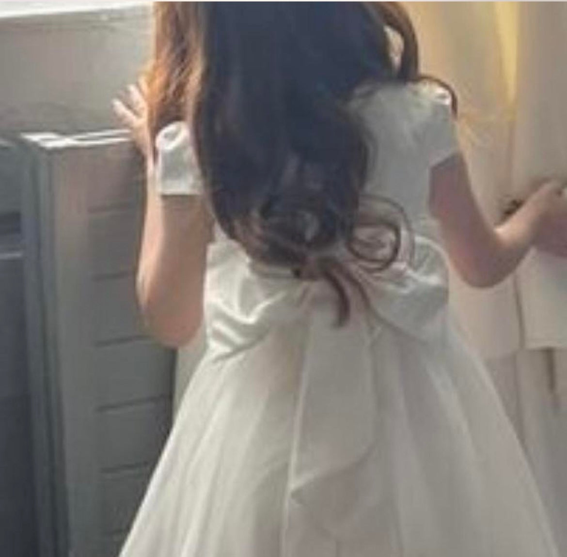 Girls flower girl / Occasion dress