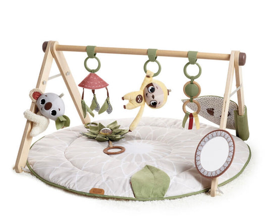 Tiny Love Playmat Gym