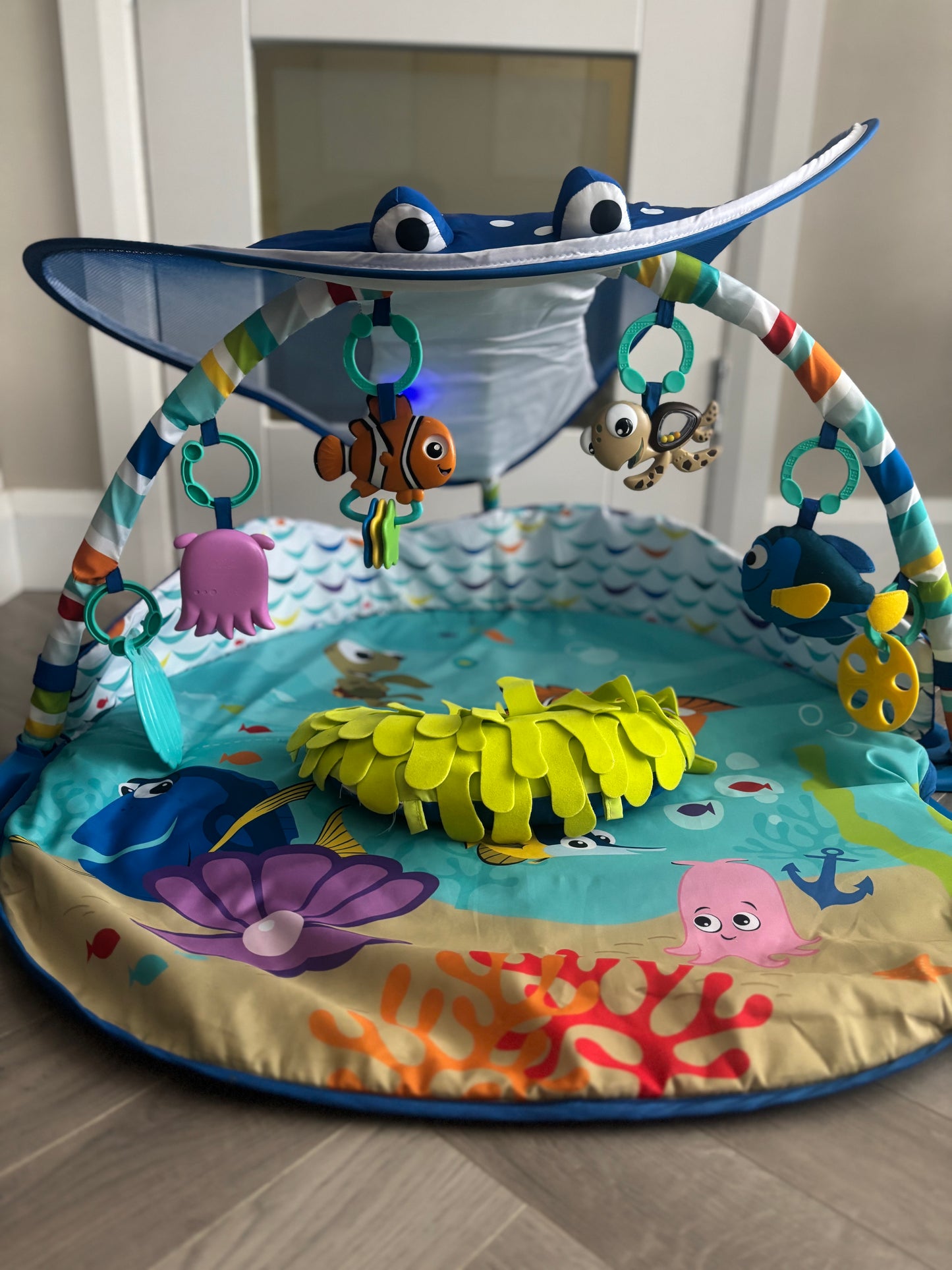 Baby Gym