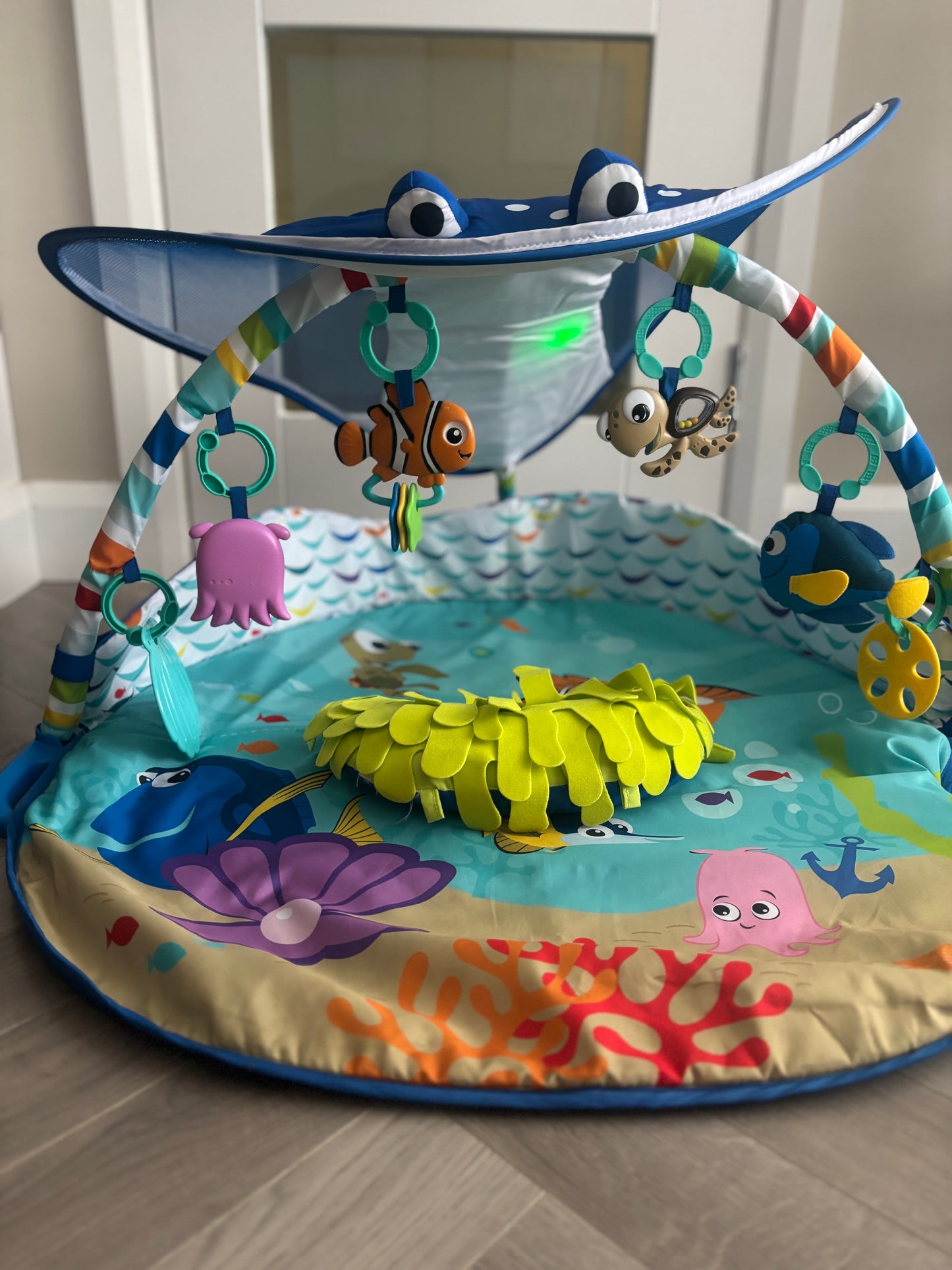 Baby Gym